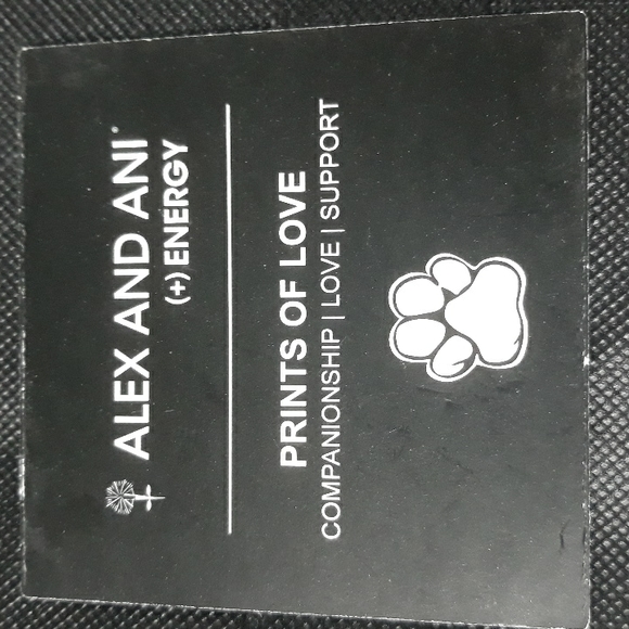 Alex And Ani charm bracelet - Picture 4 of 5